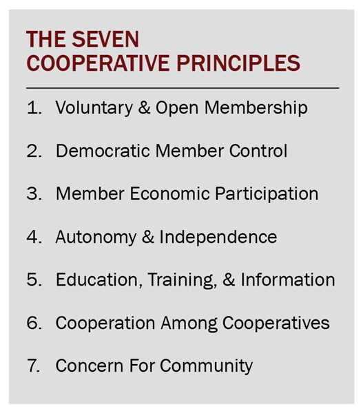 7_principles