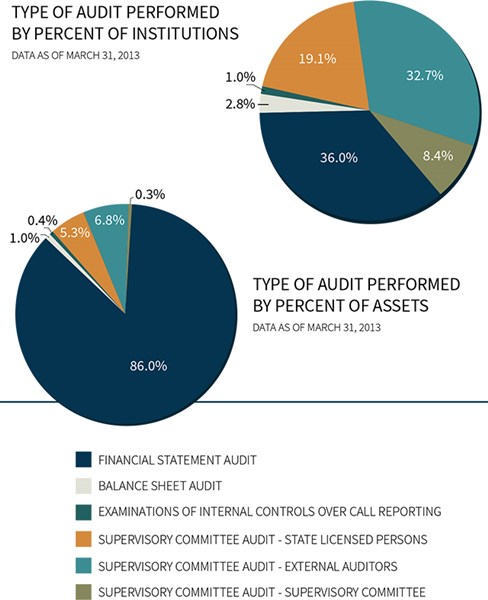 type-of-audit-performed