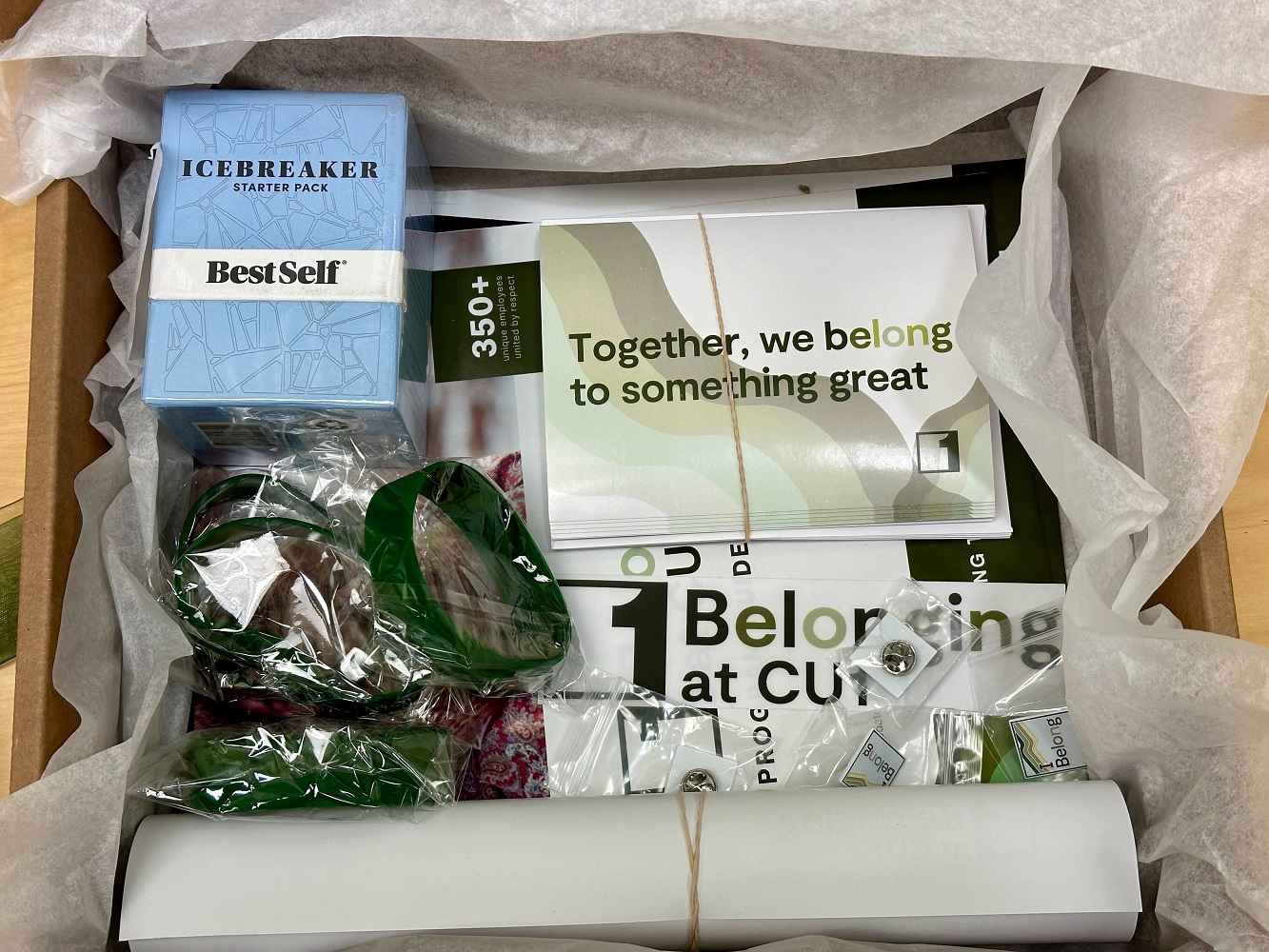 Credit Union 1’s belonging-themed culture kit included icebreaker tools and resources to promote diversity and inclusion across the credit union’s teams.