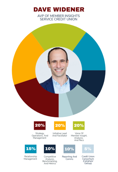Circular infographic showing the role of an AVP of member insights, with a central headshot surrounded by segments representing strategy, analytics, relationships, and member insight responsibilities.